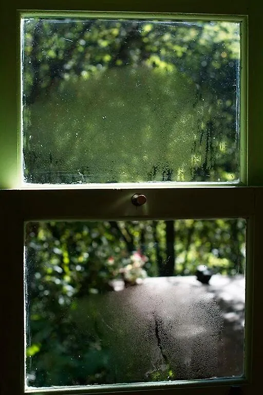 Alugo Minha Casa Na Floresta! Alfredo Wagner
