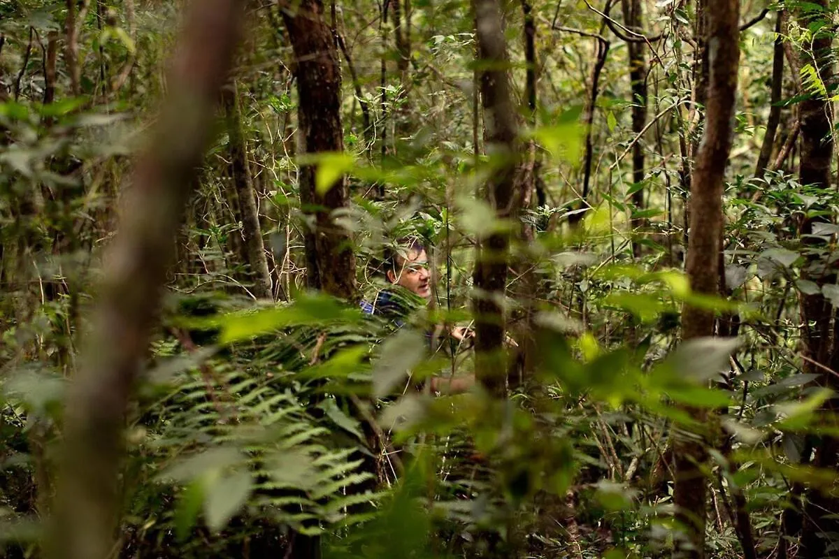 Semesterbostad Alugo Minha Casa Na Floresta! Alfredo Wagner Brasilien