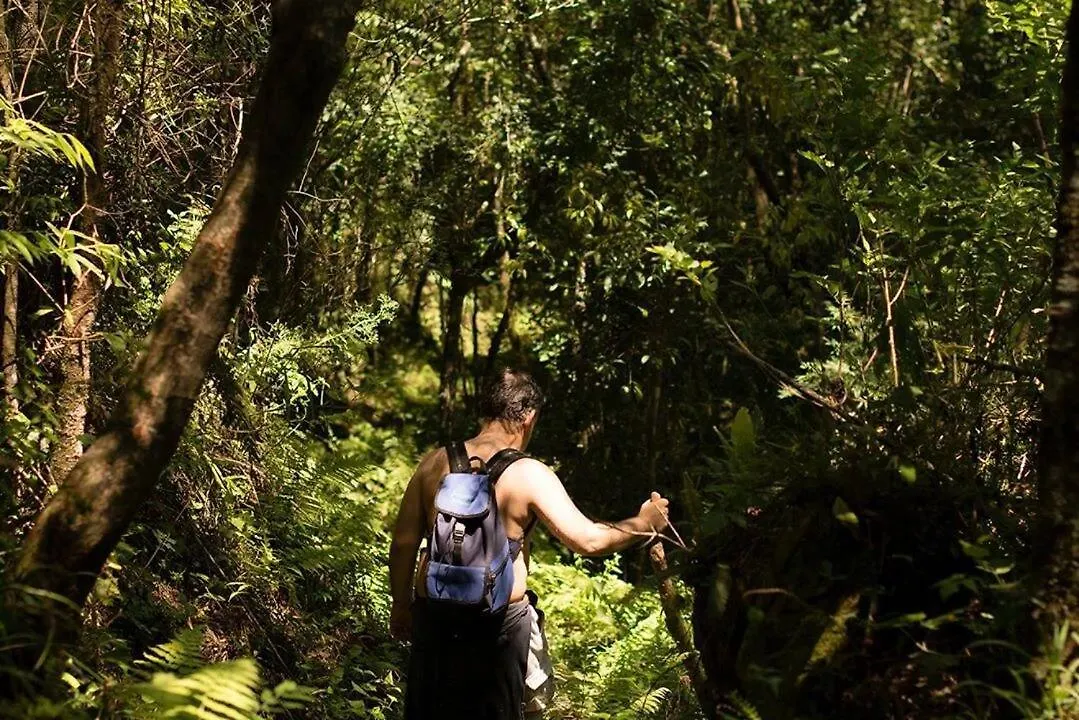 Alugo Minha Casa Na Floresta! Barracão Brasil
