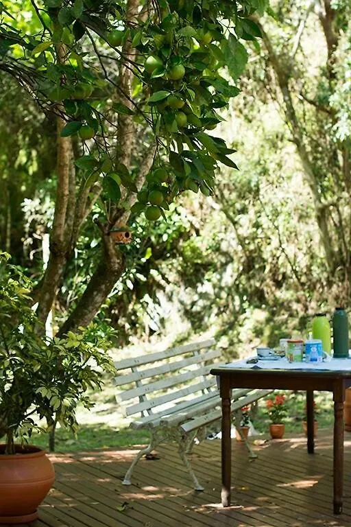 Alugo Minha Casa Na Floresta! Barracão Brasil