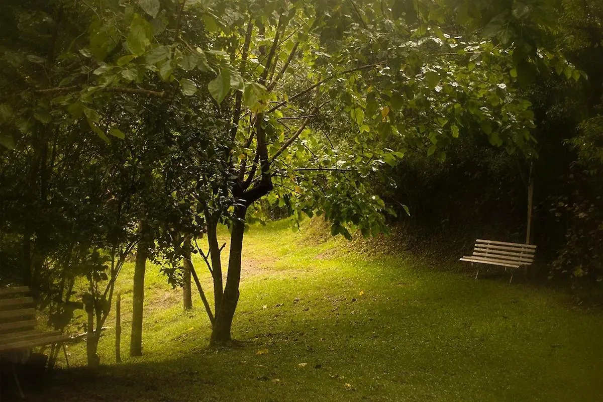 Alugo Minha Casa Na Floresta! Barracão