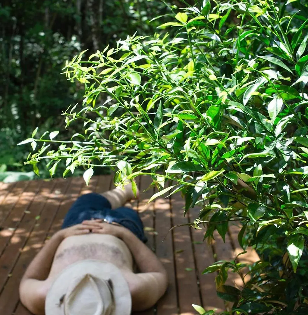 Alugo Minha Casa Na Floresta! Barracão 0*,  Brasil